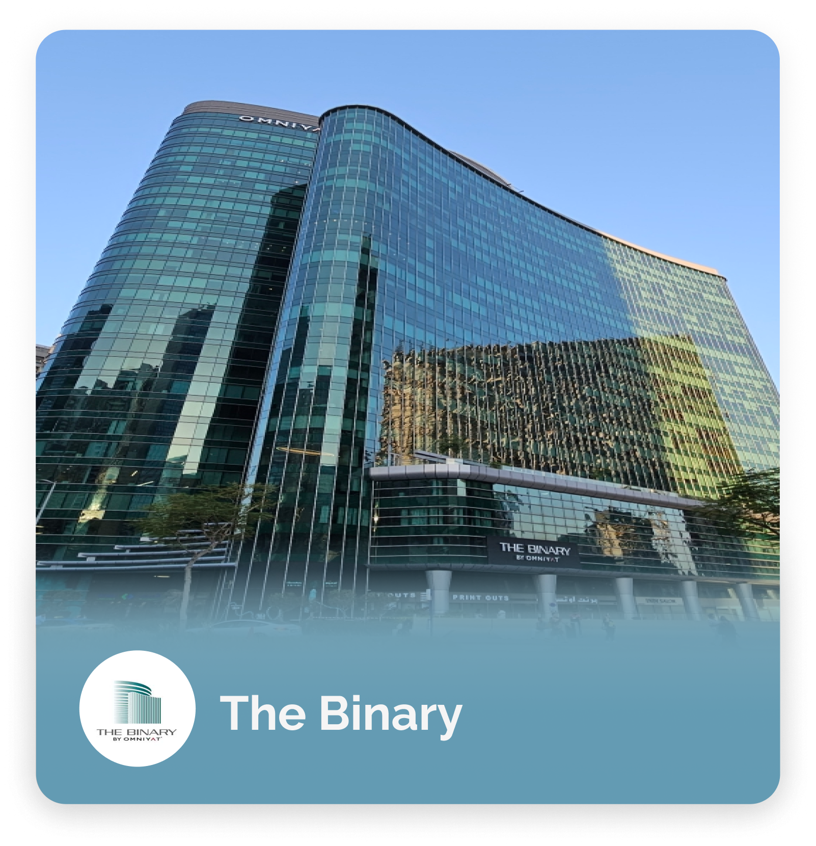 The Binary